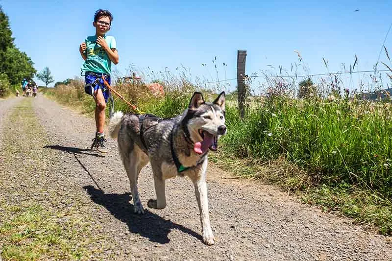 Little boy running with a husky on a cani-rando in Haute-Loire, Auvergne