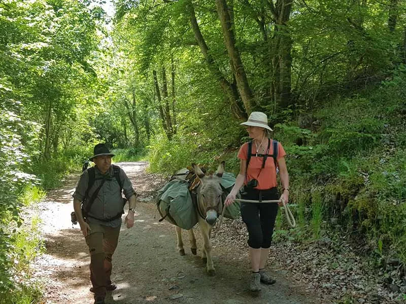 A couple hike the Chemin de Stevenson with a donkey in Haute-Loire, Auvergne