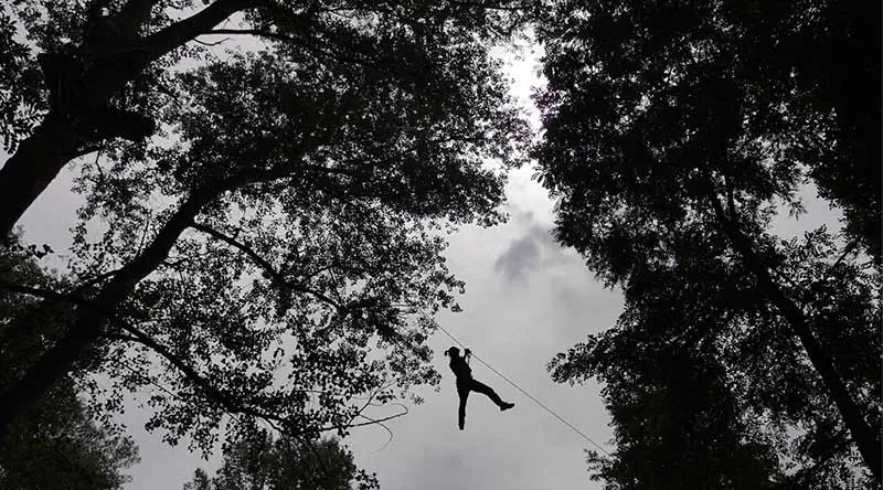 We tested for you the Gorges de l'Allier tree climbing park in Langeac in Auvergne, Haute-Loire zipline sensation