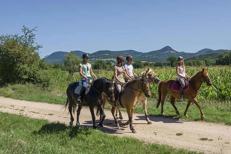 Te paard, pony of koets, voor een les in een manege of een rit in de Haute-Loire, Auvergne