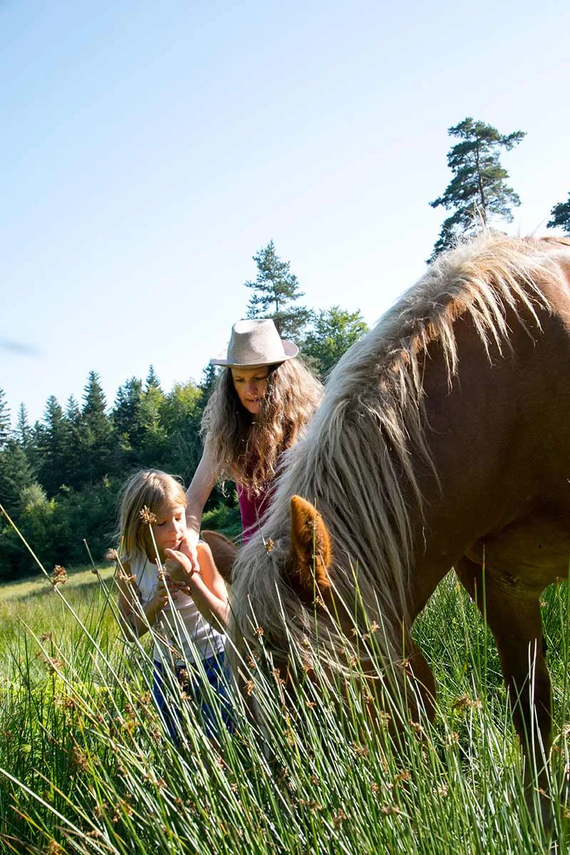 A cavallo, in pony o in carrozza, per una lezione in un centro ippico o una passeggiata nell'Alta Loira, famiglia Alvernia