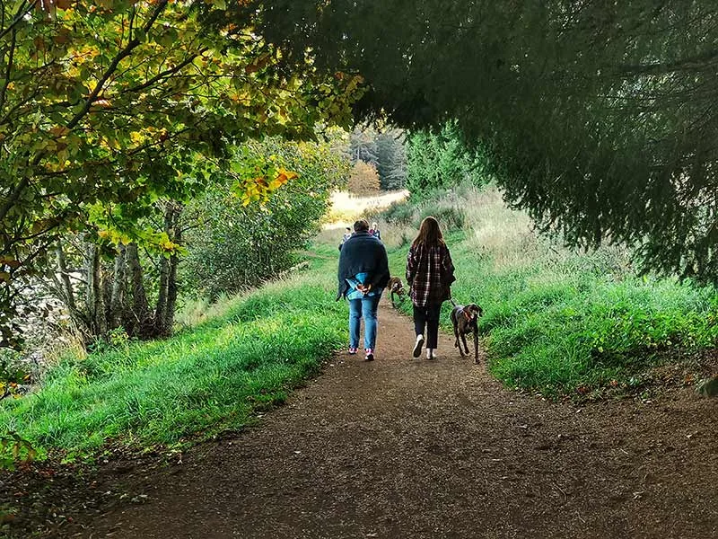 Spaziergänge und Völlerei, all die Freuden des Herbstes sind in der Gorges de l'Allier Haute-Loire, Auvergne Lac Bouchet Promenade