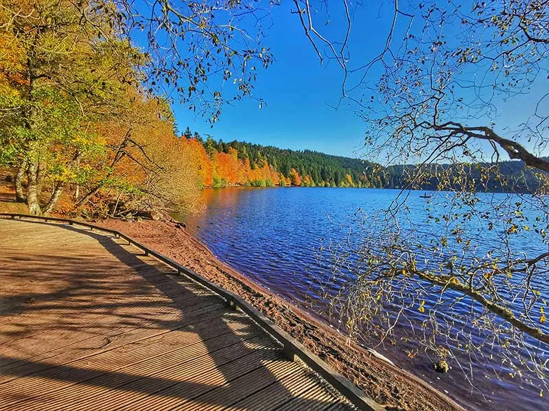 Spaziergänge und Völlerei, alle Freuden des Herbstes sind in den Gorges de l'Allier Haute-Loire, Auvergne Lac Bouchet