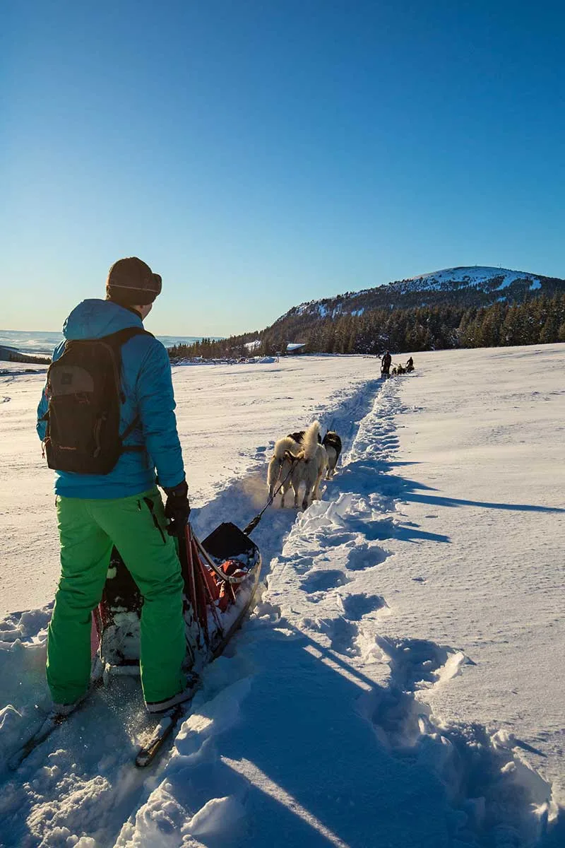 estación de esquí mezenc, meygal en Haute-Loire, trineos tirados por perros les-estables
