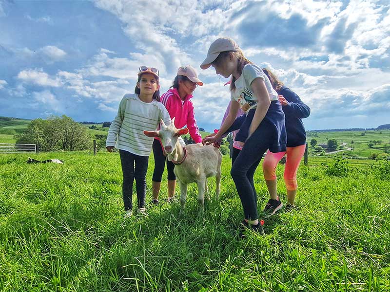 Educational farm visits at the foot of the Mézenc in Haute-Loire, Auvergne