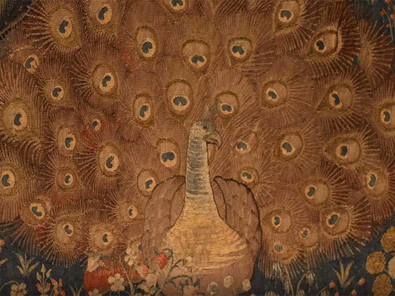 Paon du bestiaire des tapisseries flamandes de La Chaise-Dieu en Haute-Loire, Auvergne