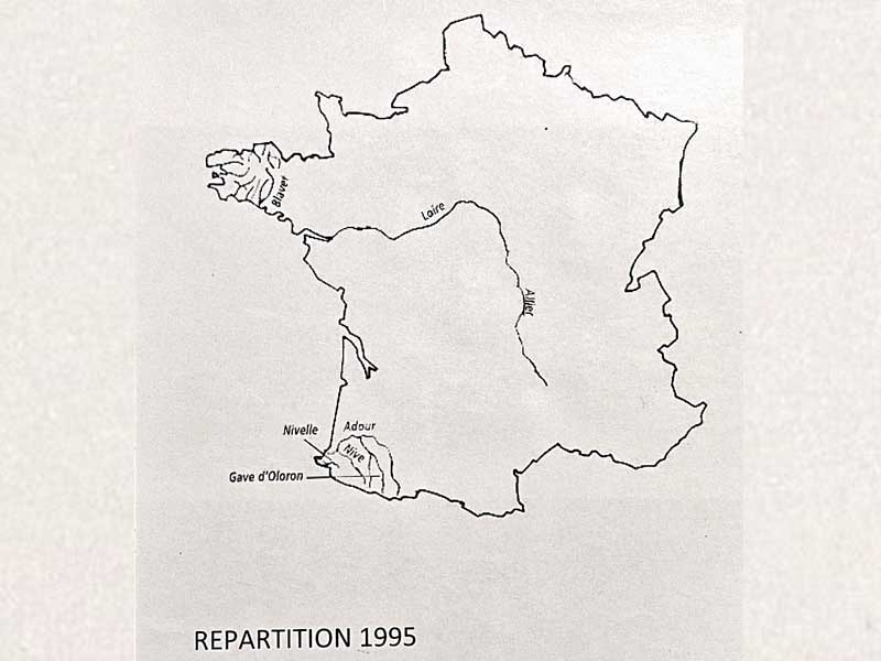 Evolution de la répartition du Saumon Sauvage (1995)