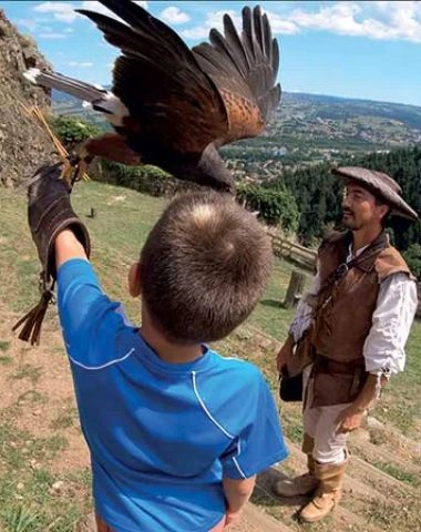 Un garçon fait atterrir un faucon sur son bras avec l'aide de fauconniers au château de Rochebaron en Haute-Loire