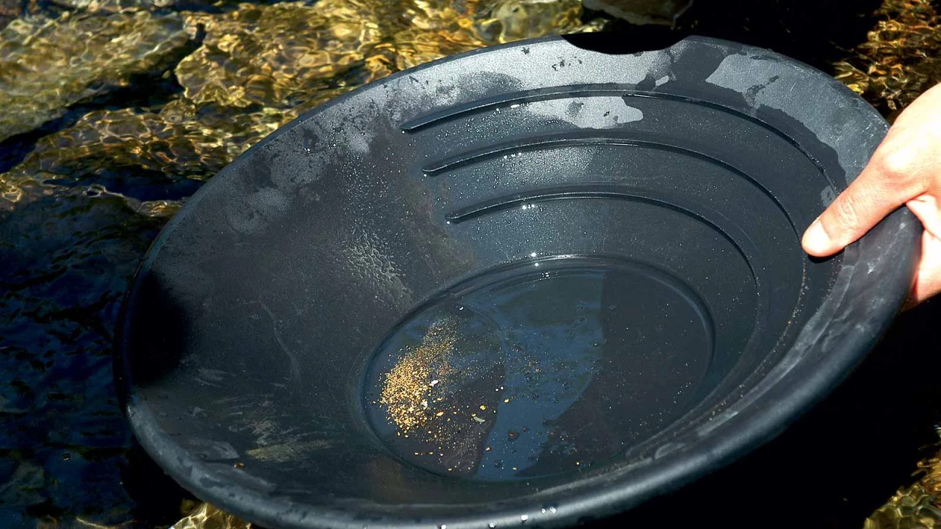 A little gold at the bottom of a black gold panning bowl in Haute-Loire, Auvergne
