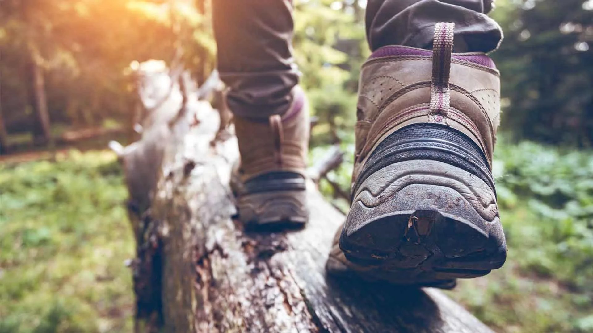 Piedi con scarpe da trekking che camminano su un tronco d'albero nella foresta in Haute-Loire, Auvergne