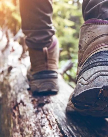 Des pieds avec des chaussures de randonnée qui marchent sur un tronc d'arbre en forêt en Haute-Loire, Auvergne
