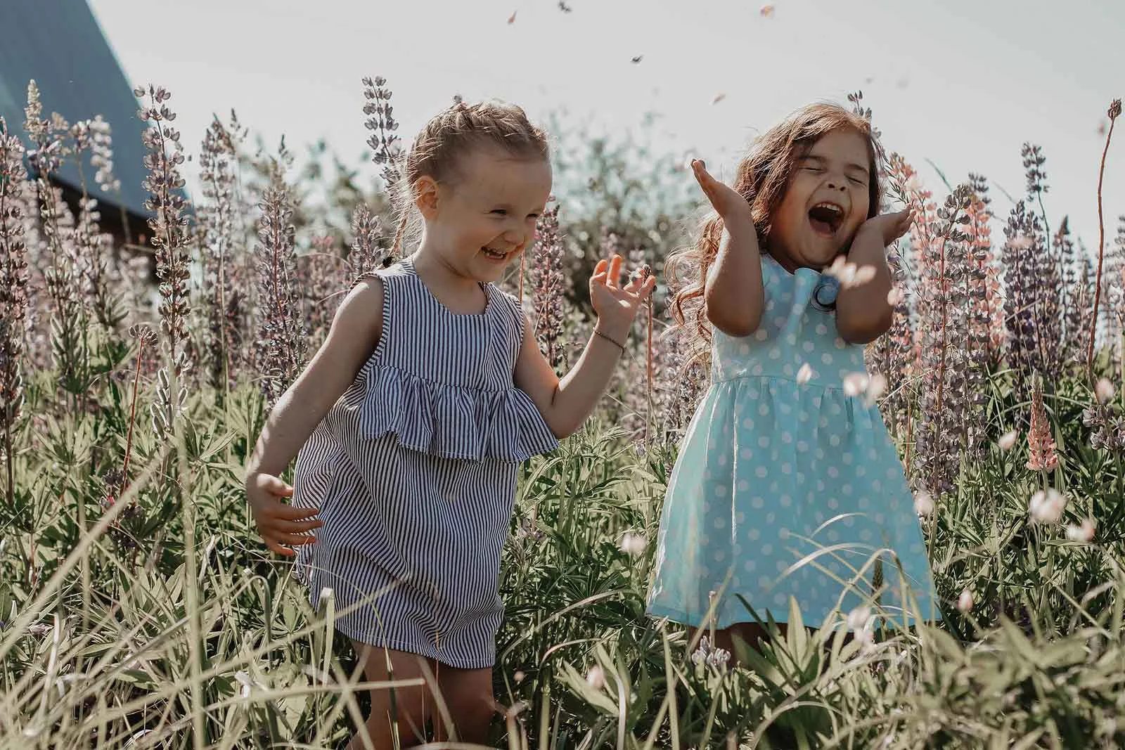 Deux petites filles qui rient dans un champ en fleur en Haute-Loire, Auvergne