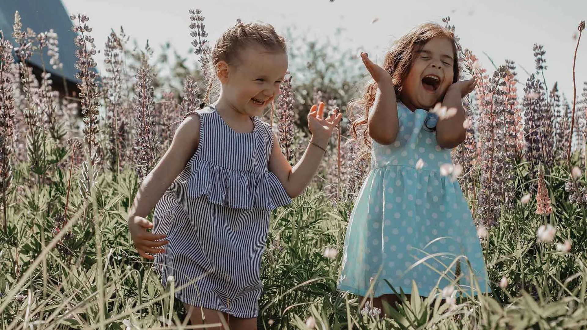 Twee lachende kleine meisjes in een bloeiend veld in de Haute-Loire, Auvergne