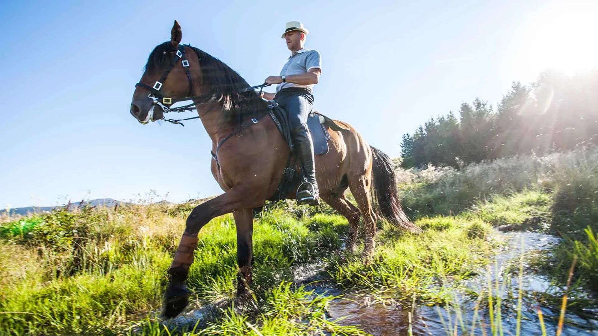 A man is horseback riding in a meadow with a stream in Haute-Loire, Auvergne