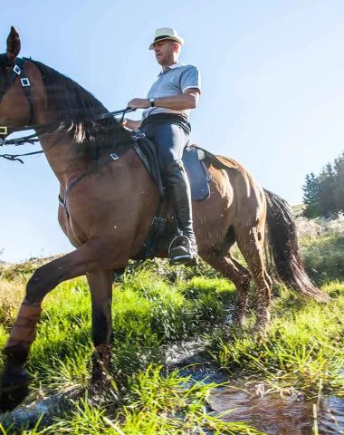 Een man is aan het paardrijden in een weiland met een beekje in Haute-Loire, Auvergne