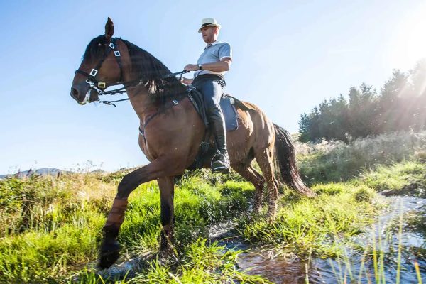 A man is horseback riding in a meadow with a stream in Haute-Loire, Auvergne