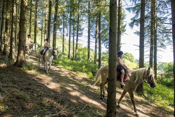 Eine Gruppe Wanderer zu Pferd im Saugues-Wald in der Haute-Loire, Auvergne