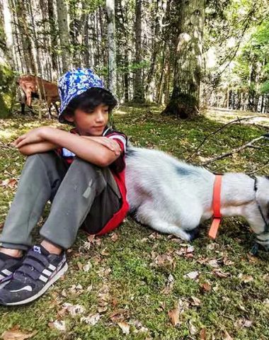 Junge sitzt neben einer Ziege im Wald in Haute-Loire, Auvergne