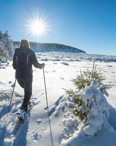 Nordic skiën ontdekkingsreiziger in het verre noorden Massief Mezenc, Auvergne, Haute-Loire, sneeuwschoenwandelen
