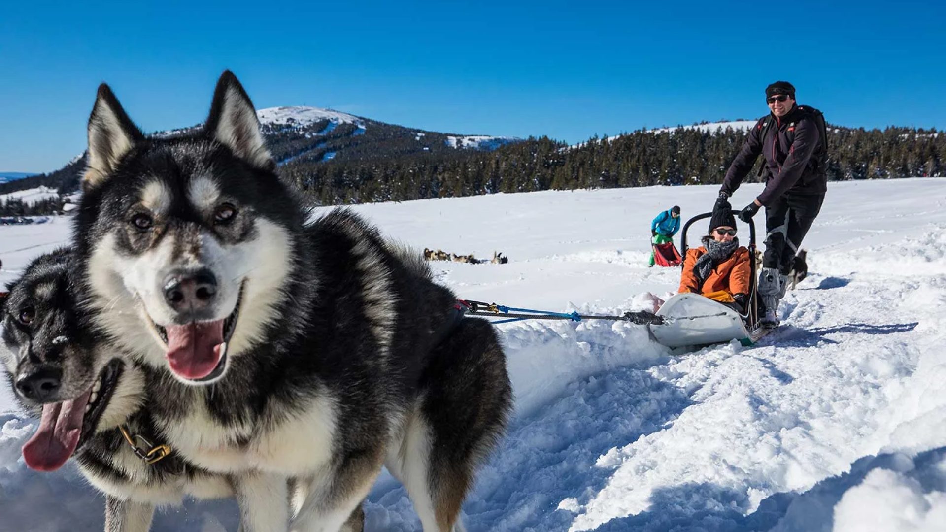estación de esquí mezenc, meygal en Haute-Loire, les-estables pasear trineos tirados por perros