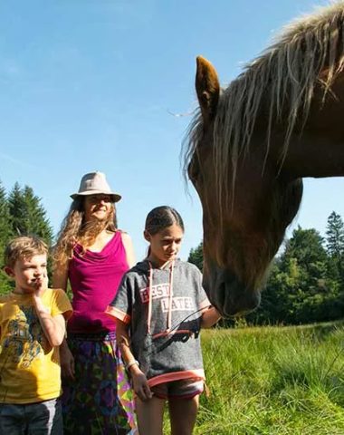 Te paard, pony of koets, voor een les in een manege of een rit in de Haute-Loire, Auvergne
