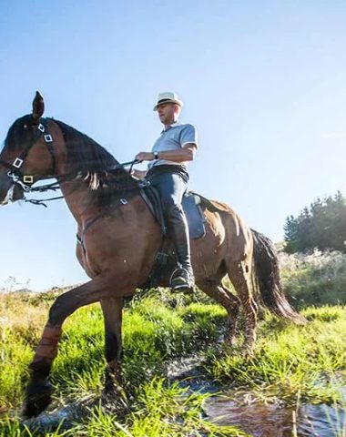 Te paard, pony of koets, voor een les in een manege of een rit in de Haute-Loire, Auvergne rit