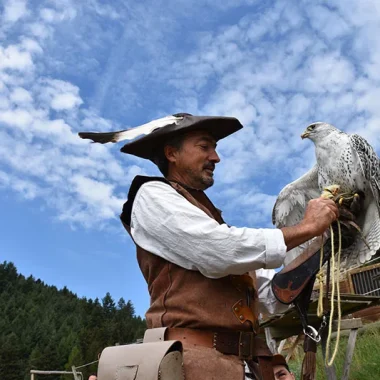 A falconer from Rochebaron castle and his eagle landing on his arm in Haute-Loire, Auvergne